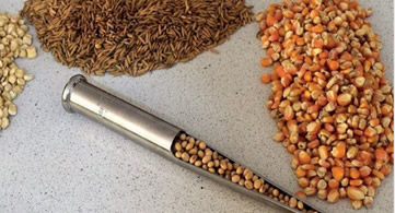 seed plan